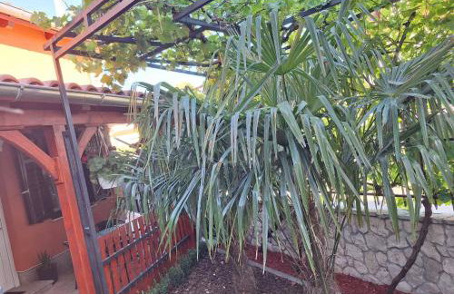 Apartmani Galešić - Foto 11