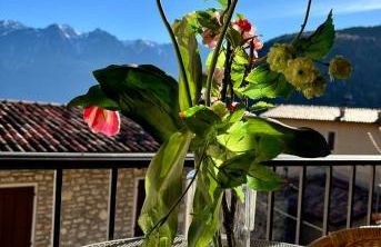 Prabione Antico Borgo Prabiu Appartement Leccino - Foto 16