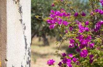 Small paradise in Saint Nicolas Village ! - Foto 31