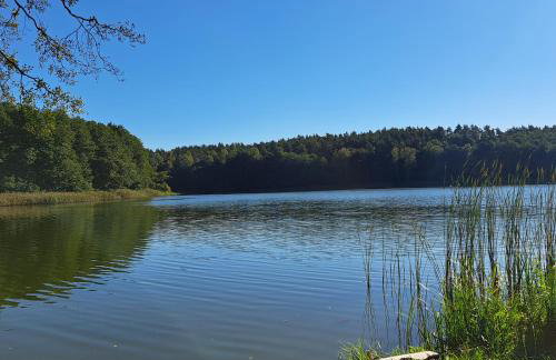 Łabądkowo - Foto 62