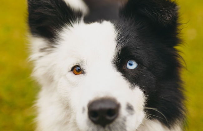 Cerro Azul Hotel Fazenda - Foto 63