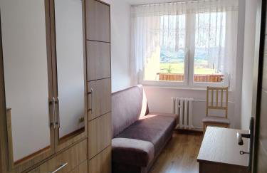 W Dolinie Drwęcy przy Dworcowej - Foto 6