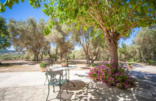 Agroturismo Son Not - Foto 8