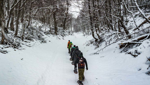 Snowshoeing