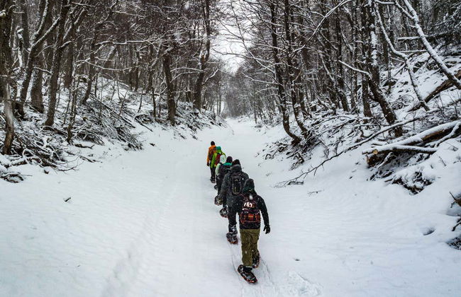Tierra del Fuego Snowshoeing & Snowmobile Experience - Photo 3