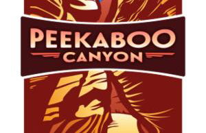 The Flagstone Boutique Inn & Suites - Foto 14