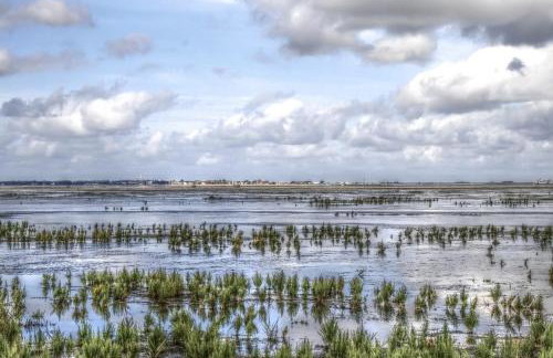 Gästehaus Neuwarft - Foto 14
