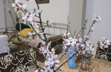 Village perfume - Photo 24