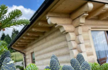 Wioska Jasia i Małgosi - Foto 34