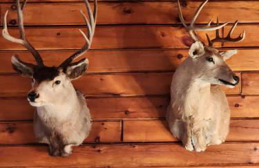 Stylish Forest Lodge with Large Hot Tub, Firepit and Fireplace 5 minutes to Gore Mountain - Photo 59