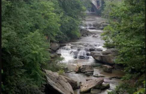 NEW Renovated Near CLE - King Bed, Metropark & Firepit - Foto 6