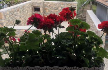 Casa Freixedelo - Foto 21