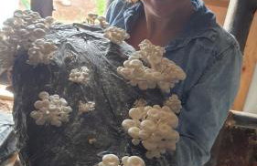 Sitio Aconchego Verde Guararema - Foto 21