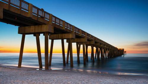 Lion On The Beach - Photo 5