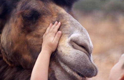 Stone Village Hotel Apartments - Foto 56