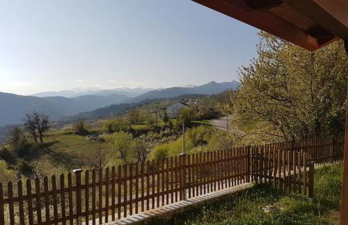 Morchella MushROOM - Foto 1