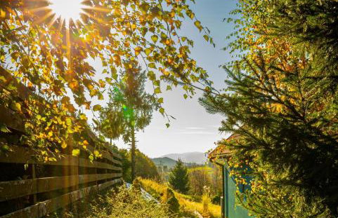 DOMEK NIEBIESKI W BESKIDZIE MAŁYM - Foto 12