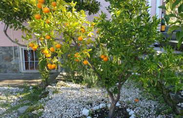 Quinta de São Marcos - Foto 8