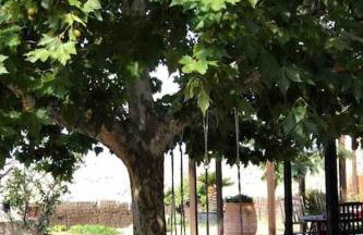 Gerania Villa - Foto 31