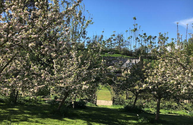 Cotswolds Camping at Holycombe - Foto 52