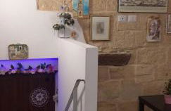 Le camelie - Foto 73