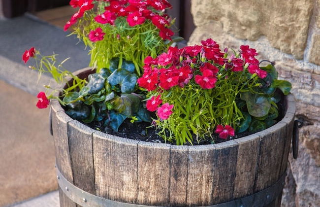 Paraíso del Bierzo - Foto 24