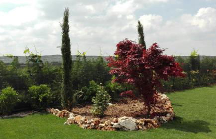 Agriturismo Pigno - Foto 20