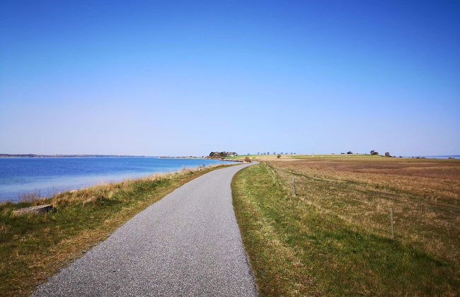 4 Person Holiday Home in Aeroskobing - Foto 15