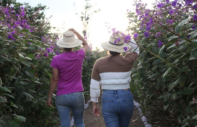 Tierra Activa Organic Farm and Agro-tourism San Agustin - Foto 28