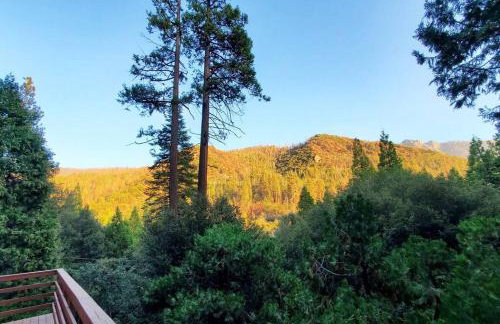 Redwood Retreat, Mountains, Adventure and Nature - Foto 7