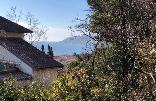 Une terrasse à L’Estaque + stationnement - Foto 10