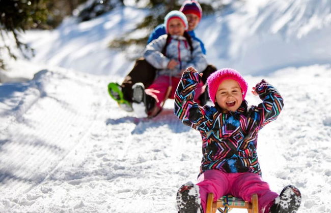 Holzboxen Planneralm - Foto 12