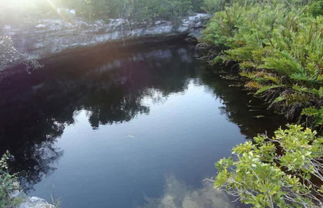 Orange Creek Inn - Foto 36