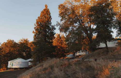 Mongolian yurt at a nature retreat - Foto 32