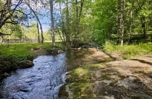 Winona's Retreat - Foto 38