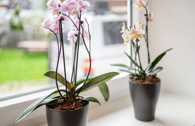 Apartment in Bad Mitterndorf Near ski Area - Foto 22