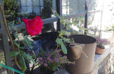 Sweet Home - Foto 51