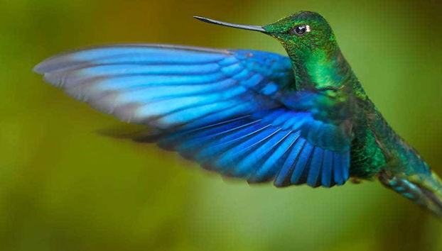Excursion dans la Réserve de Yanacocha