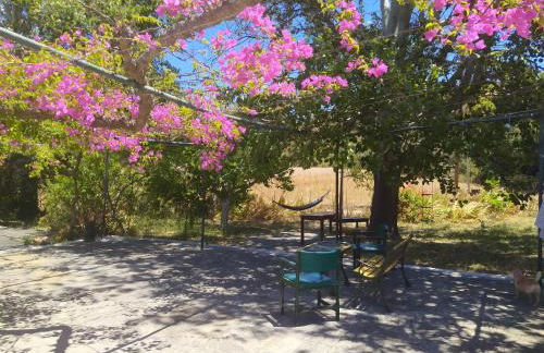 K Farm House - Foto 16