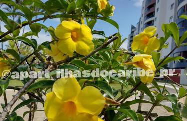 Apto Cond Ilhas do Caribe - Pr - Beira Mar - Foto 28