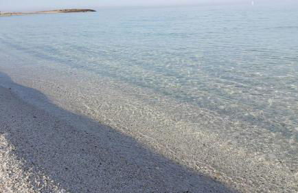 L'Araucaria Appartamento Suite Il Ginepro - Foto 33