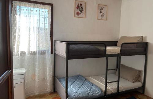 Sweet William - Foto 15