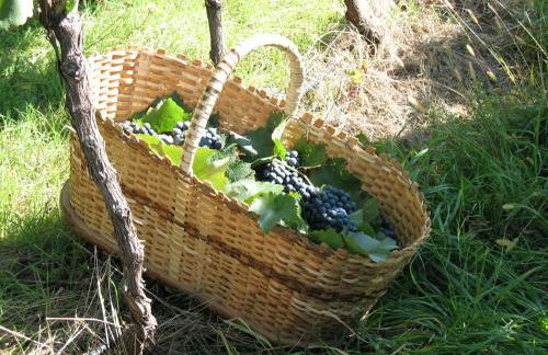 Unterpfaffstall-Hof - Foto 64