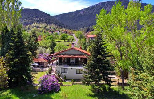 Villa Arcadia - Foto 9