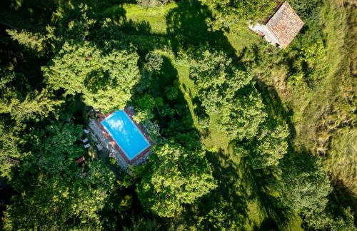 Verde Immenso - Pool BBQ Relax - Foto 22