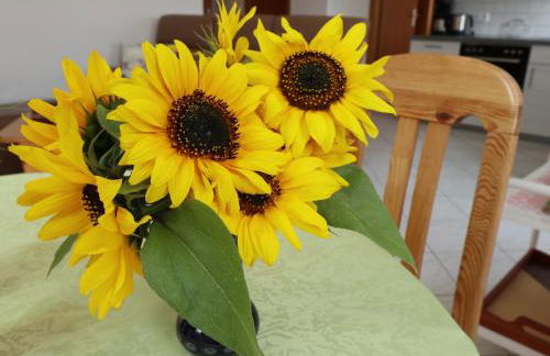 Ferienwohnung Haus Doris - Foto 30