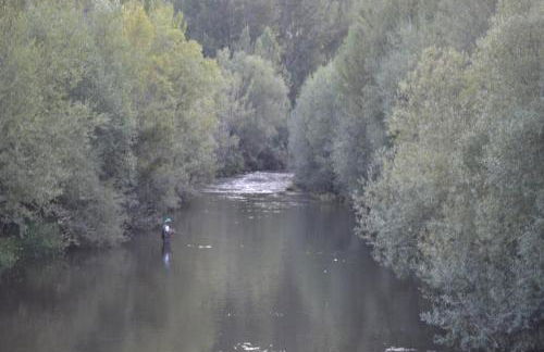 AguasBlancas VUT LE 446 - Foto 40