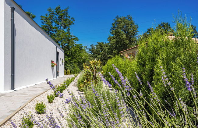 Pool House Fancy - Foto 32