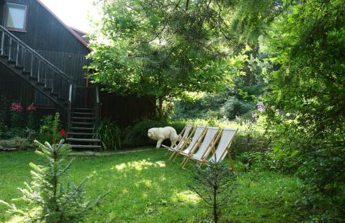 Ropuszy Dwór - Foto 29