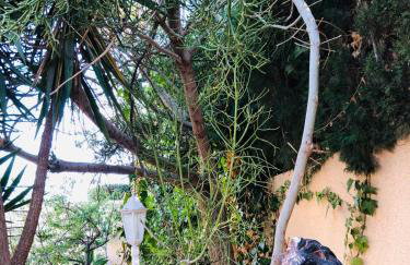 Casa Jardín SevillaMia in Orihuela Costa - Foto 23